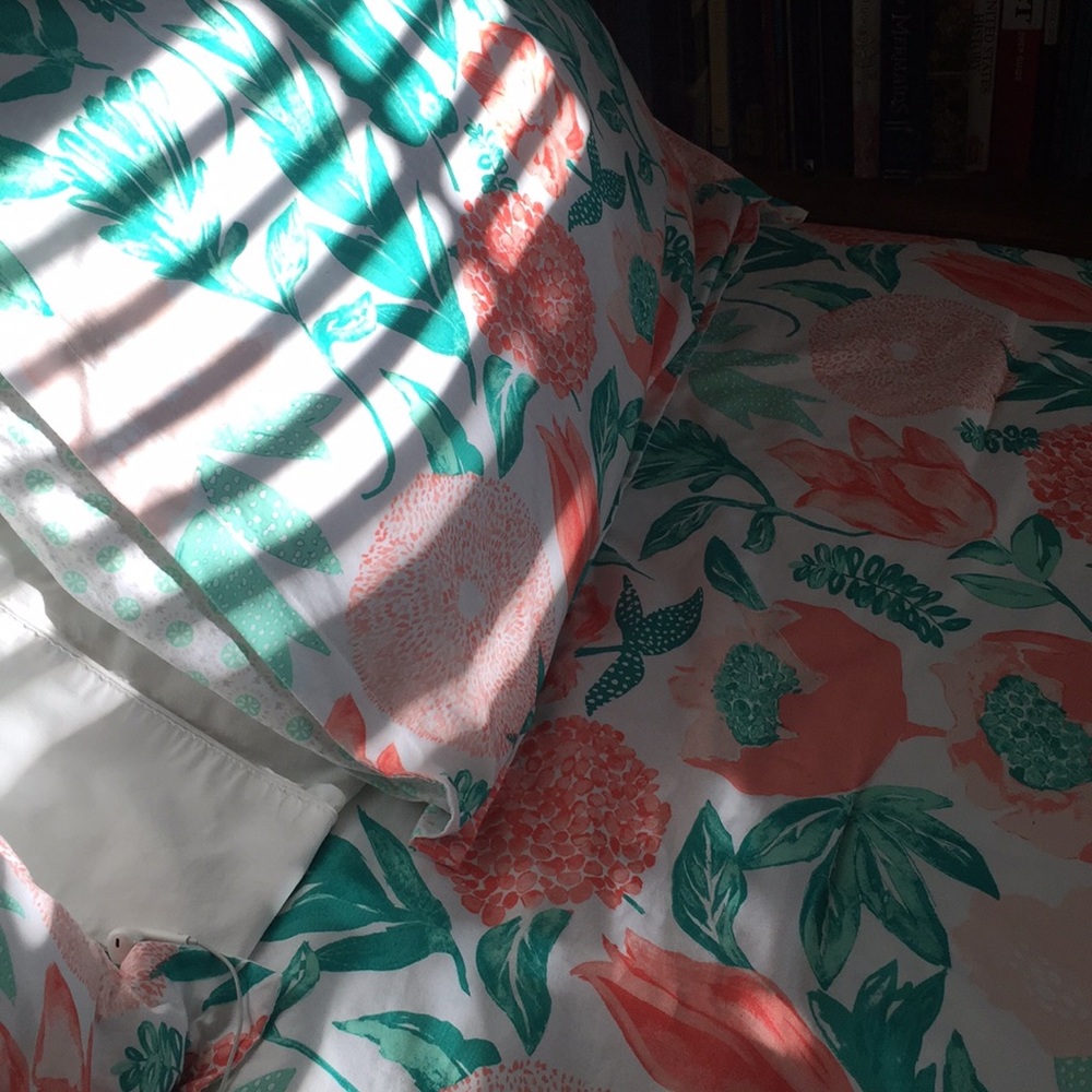 Meet your Posher, Lucy